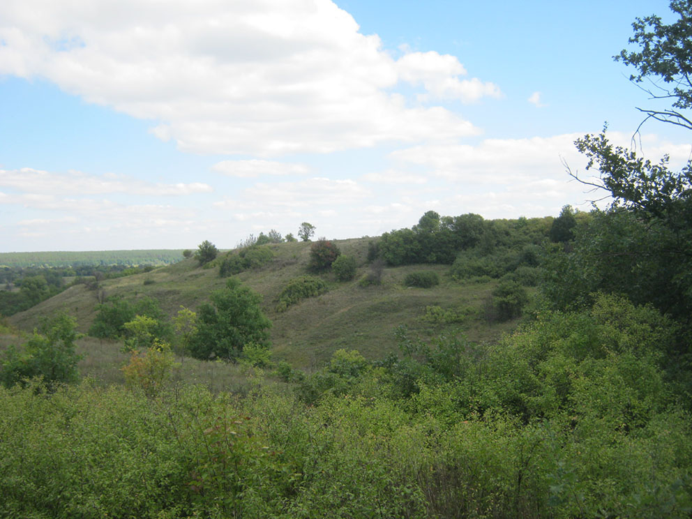 Мохнацьке городище